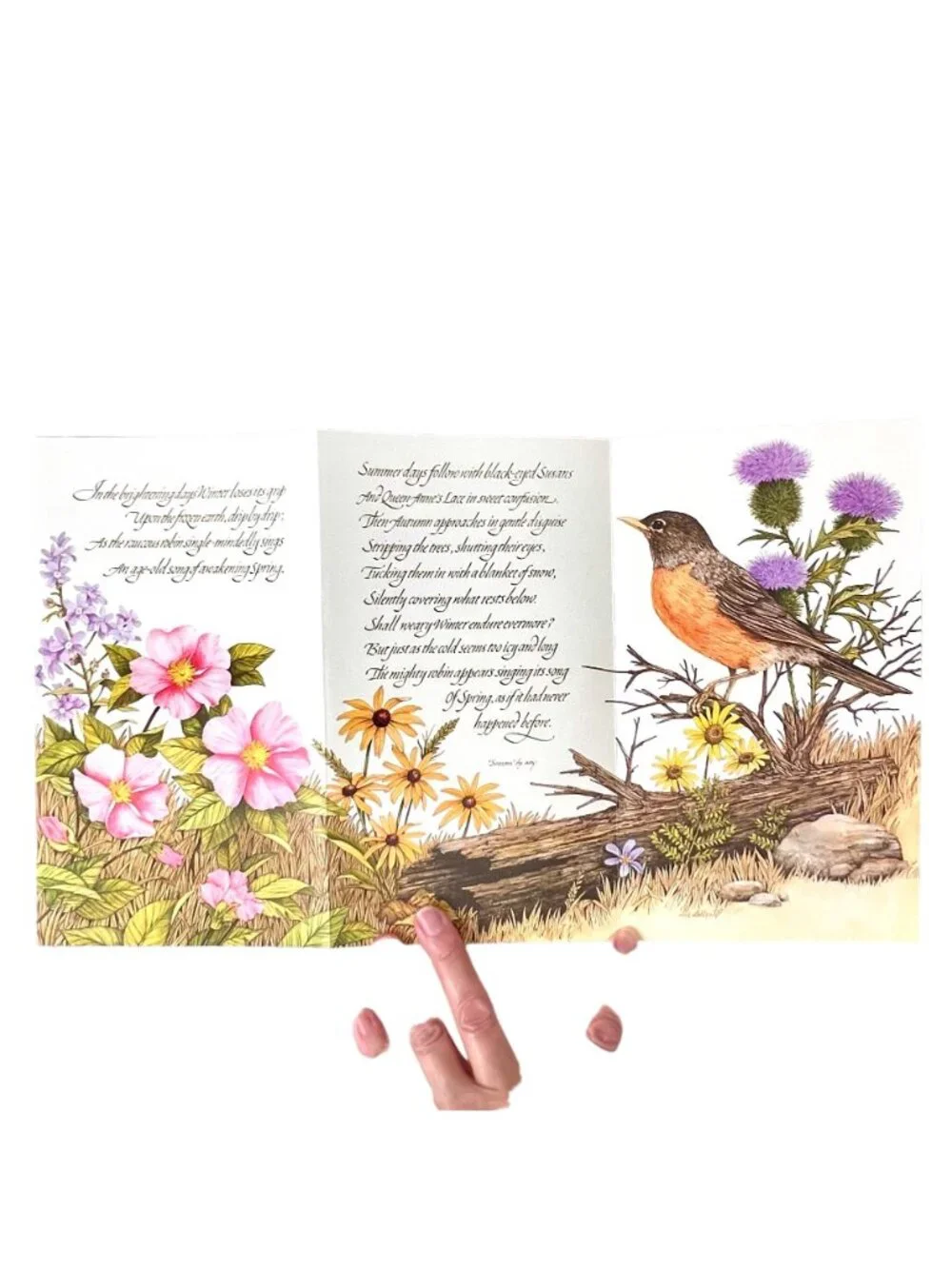 Vintage 1978 Current Inc Keepsake Greetings Tri-Fold Card Set of 4 Nature Theme